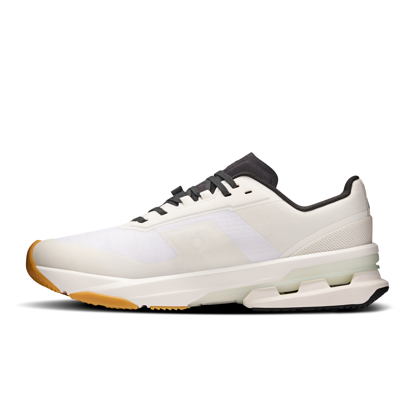 Cloudpulse Pro